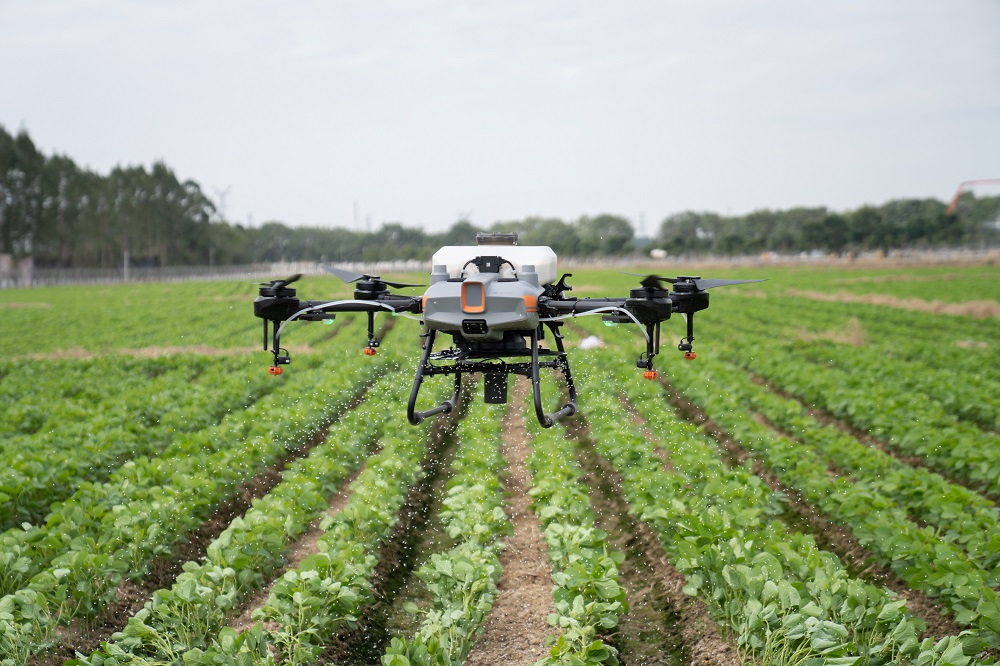 Drone agricolo Agras in azione